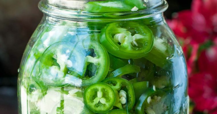 Quick Fridge Pickled Jalapeño Peppers