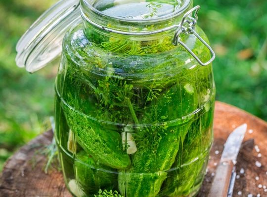 East Coast New Pickles