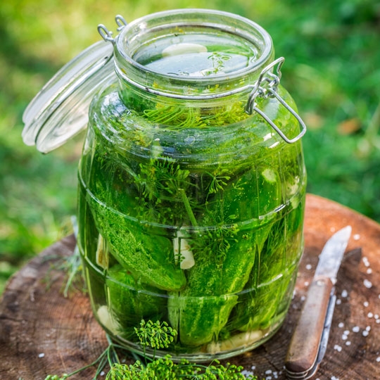 East Coast New Pickles